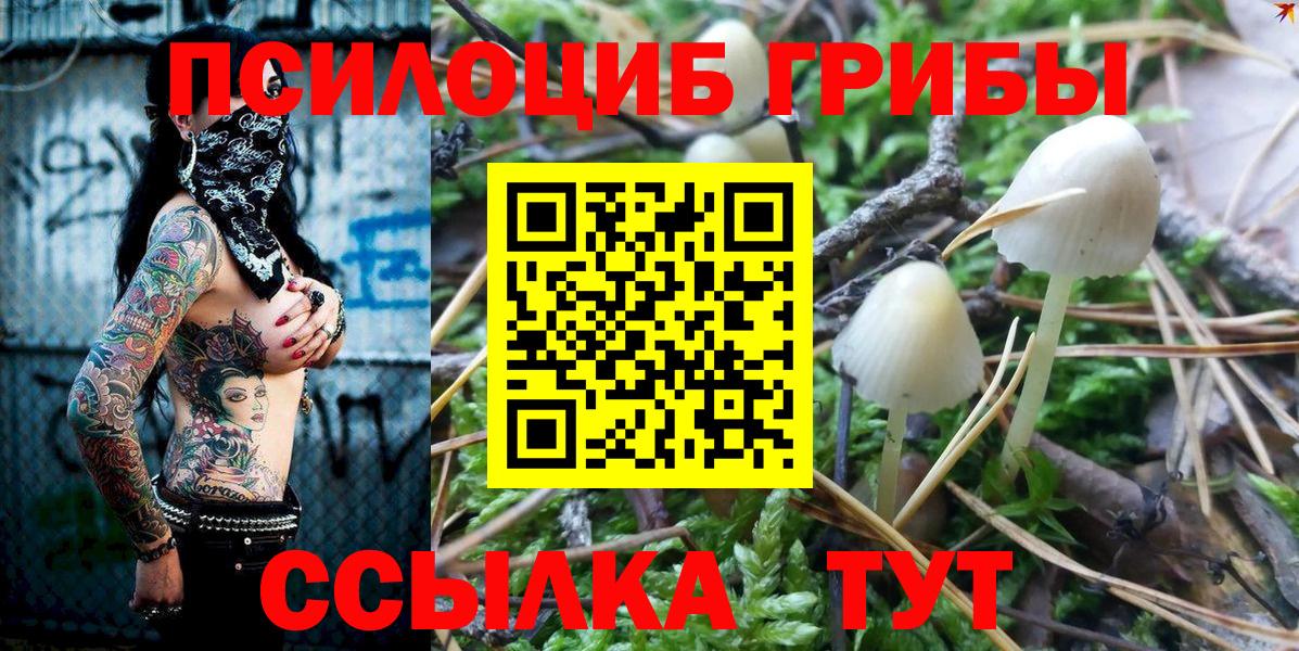 Галлюциногенные грибы мухоморы Михайловка