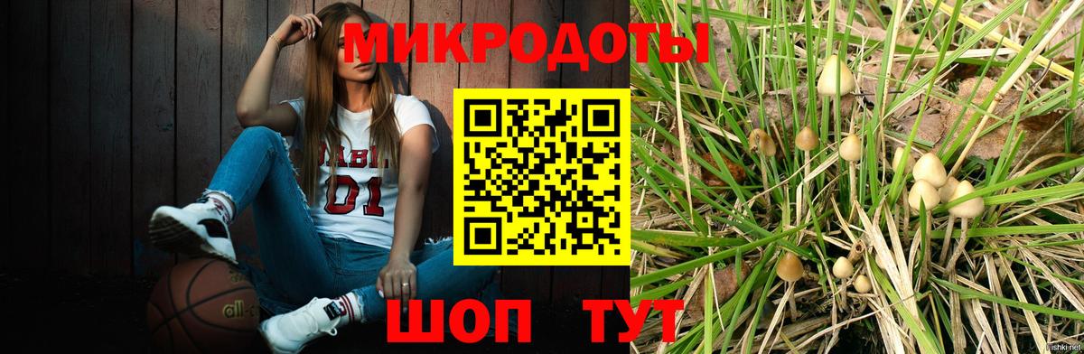 что такое наркотик  Псилоцибиновые грибы Magic Shrooms  Вход с VPN  Михайловка 